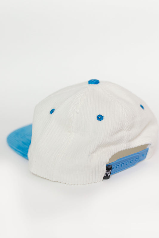 The Tour 5 Panel