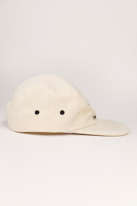 I'm Difficult 5 Panel Camp